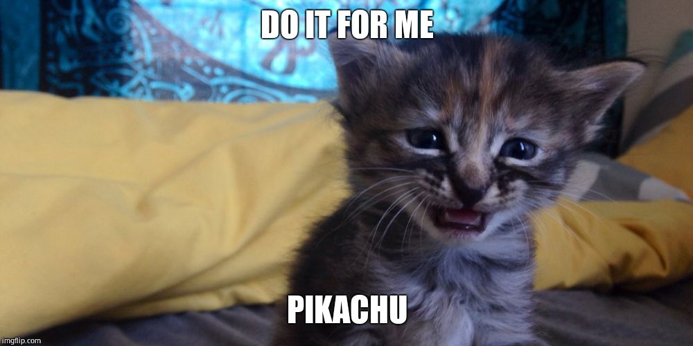 CRYING KITTEN | DO IT FOR ME PIKACHU | image tagged in crying kitten | made w/ Imgflip meme maker