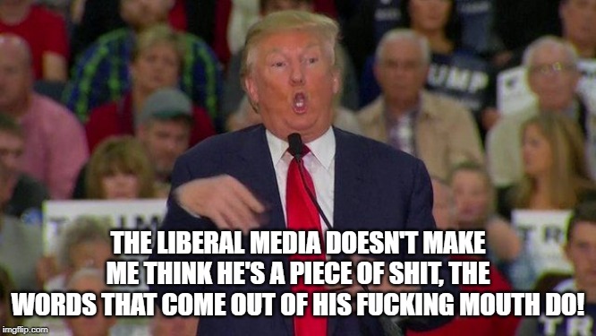 Trump Retard | THE LIBERAL MEDIA DOESN'T MAKE ME THINK HE'S A PIECE OF SHIT, THE WORDS THAT COME OUT OF HIS F**KING MOUTH DO! | image tagged in trump retard | made w/ Imgflip meme maker