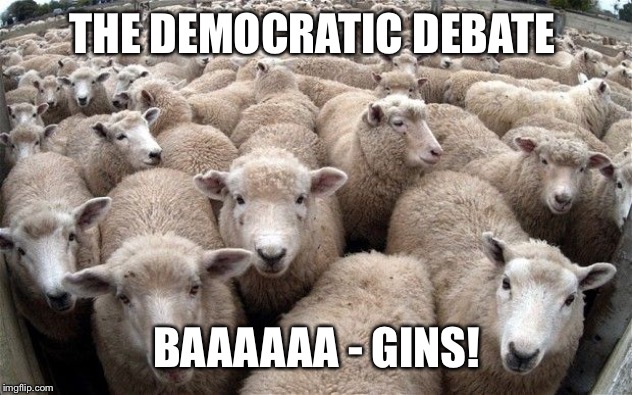 Arguing over who is the biggest hater | THE DEMOCRATIC DEBATE; BAAAAAA - GINS! | image tagged in sheeple,democratic debate | made w/ Imgflip meme maker