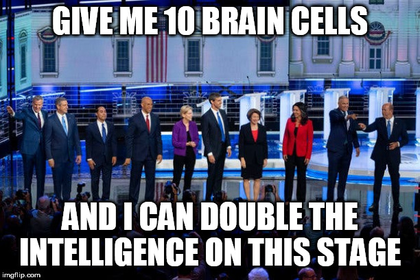 Democrat Debate | GIVE ME 10 BRAIN CELLS; AND I CAN DOUBLE THE INTELLIGENCE ON THIS STAGE | image tagged in democrats,debate | made w/ Imgflip meme maker