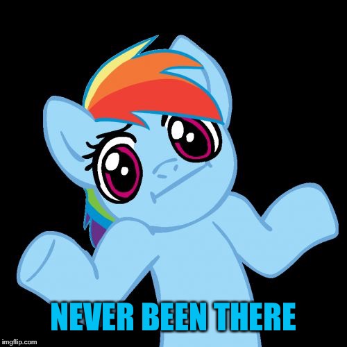 Pony Shrugs Meme | NEVER BEEN THERE | image tagged in memes,pony shrugs | made w/ Imgflip meme maker