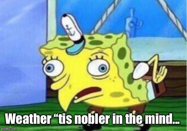 Mocking Spongebob Meme | Weather ‘‘tis nobler in the mind... | image tagged in memes,mocking spongebob | made w/ Imgflip meme maker