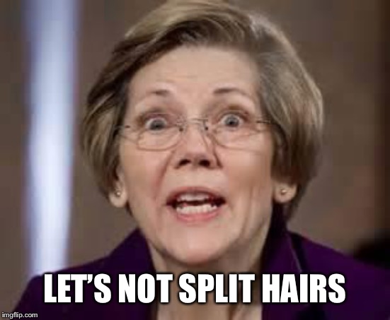 Full Retard Senator Elizabeth Warren | LET’S NOT SPLIT HAIRS | image tagged in full retard senator elizabeth warren | made w/ Imgflip meme maker