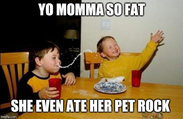 Yo Momma So Fat | YO MOMMA SO FAT; SHE EVEN ATE HER PET ROCK | image tagged in yo momma so fat | made w/ Imgflip meme maker