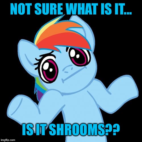 Pony Shrugs Meme | NOT SURE WHAT IS IT... IS IT SHROOMS?? | image tagged in memes,pony shrugs | made w/ Imgflip meme maker
