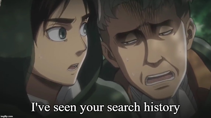 Attack on Titan memes | I've seen your search history | image tagged in attack on titan memes | made w/ Imgflip meme maker