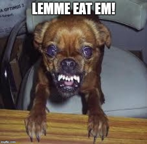 mad dog! | LEMME EAT EM! | image tagged in mad dog | made w/ Imgflip meme maker