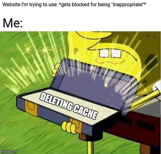 Spongbob secret weapon | Website I'm trying to use: *gets blocked for being "inappropriate"*; Me:; DELETING CACHE | image tagged in spongbob secret weapon,blocked,website,cache,delete | made w/ Imgflip meme maker