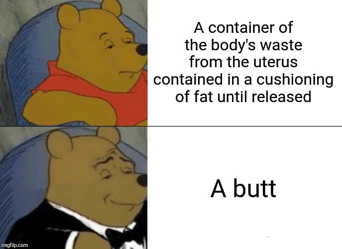 Didn't know which order to put this in... | A container of the body's waste from the uterus contained in a cushioning of fat until released; A butt | image tagged in memes,tuxedo winnie the pooh,butt,fancy,scientific,irdk | made w/ Imgflip meme maker