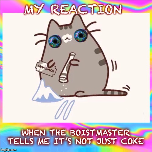 Keta cat | MY REACTION; WHEN THE BOISTMASTER TELLS ME IT’S NOT JUST COKE | image tagged in keta cat | made w/ Imgflip meme maker