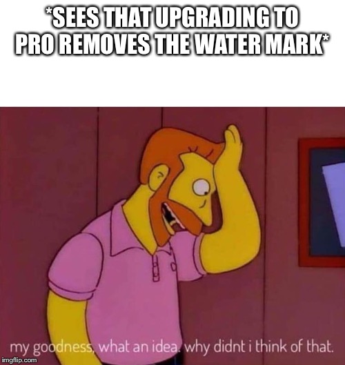 my goodness what an idea why didn't I think of that | *SEES THAT UPGRADING TO PRO REMOVES THE WATER MARK* | image tagged in my goodness what an idea why didn't i think of that | made w/ Imgflip meme maker