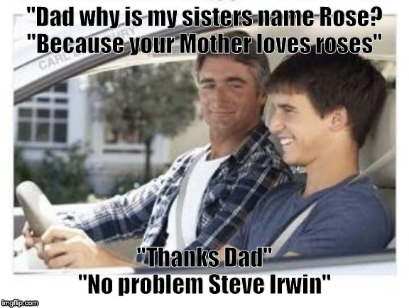 Dad why is my sisters name | "Dad why is my sisters name Rose?
"Because your Mother loves roses"; "Thanks Dad"
"No problem Steve Irwin" | image tagged in dad why is my sisters name | made w/ Imgflip meme maker