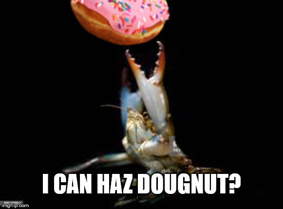 crab WOULD like a donut (dougnut) | I CAN HAZ DOUGNUT? | image tagged in crab,food,donut,throwback to the classics,inside joke | made w/ Imgflip meme maker