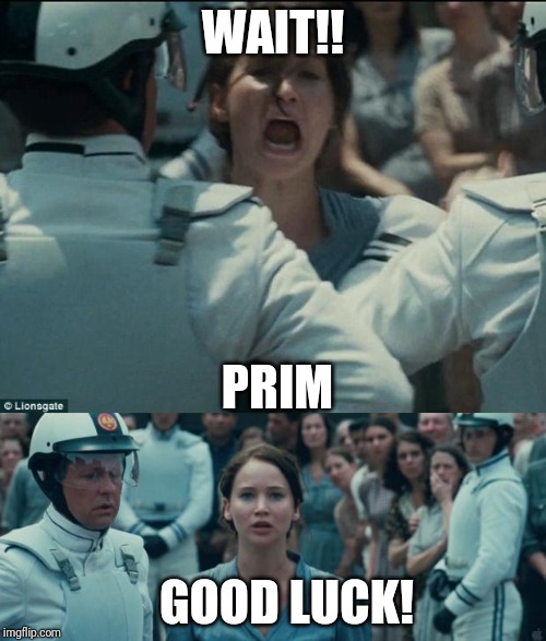 WAIT!! PRIM; GOOD LUCK! | image tagged in katniss | made w/ Imgflip meme maker