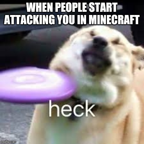Heck dog | WHEN PEOPLE START ATTACKING YOU IN MINECRAFT | image tagged in funny | made w/ Imgflip meme maker