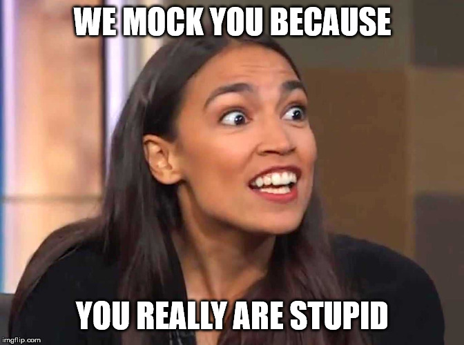 AOC | WE MOCK YOU BECAUSE; YOU REALLY ARE STUPID | image tagged in aoc | made w/ Imgflip meme maker