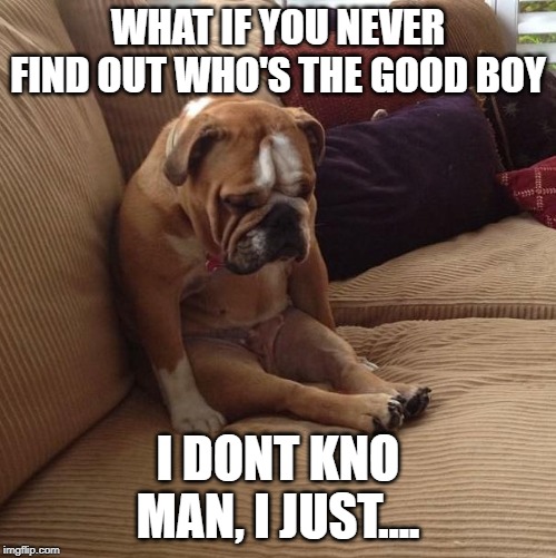 bulldogsad | WHAT IF YOU NEVER FIND OUT WHO'S THE GOOD BOY; I DONT KNO MAN, I JUST.... | image tagged in bulldogsad | made w/ Imgflip meme maker