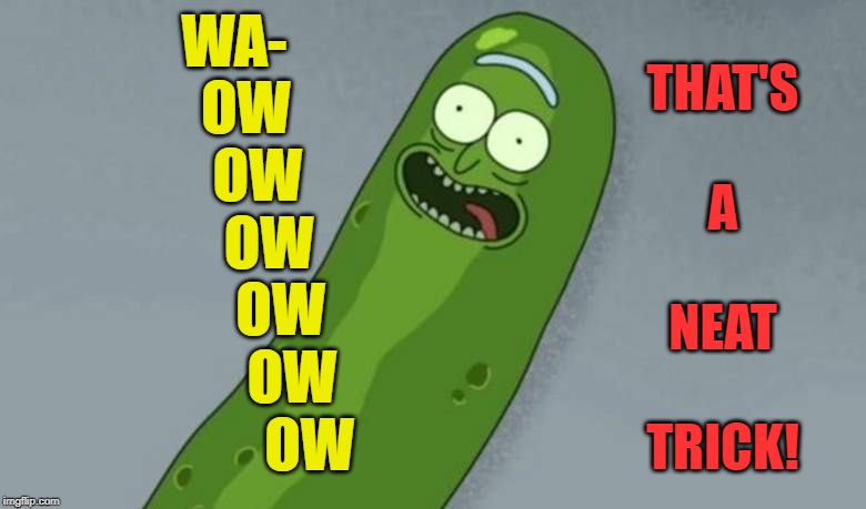 Pickle rick | WA-
  OW
    OW
      OW
        OW
          OW
             OW THAT'S
 
A
 
NEAT
 
TRICK! | image tagged in pickle rick | made w/ Imgflip meme maker