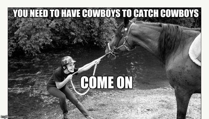 YOU NEED TO HAVE COWBOYS TO CATCH COWBOYS; COME ON | image tagged in qanon,the great awakening,open the gate a little,the struggle is real,storm,good vs evil | made w/ Imgflip meme maker