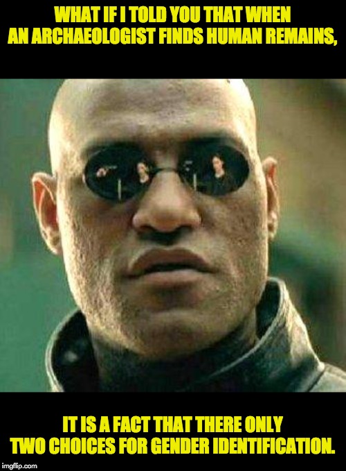 What if i told you | WHAT IF I TOLD YOU THAT WHEN AN ARCHAEOLOGIST FINDS HUMAN REMAINS, IT IS A FACT THAT THERE ONLY TWO CHOICES FOR GENDER IDENTIFICATION. | image tagged in what if i told you | made w/ Imgflip meme maker