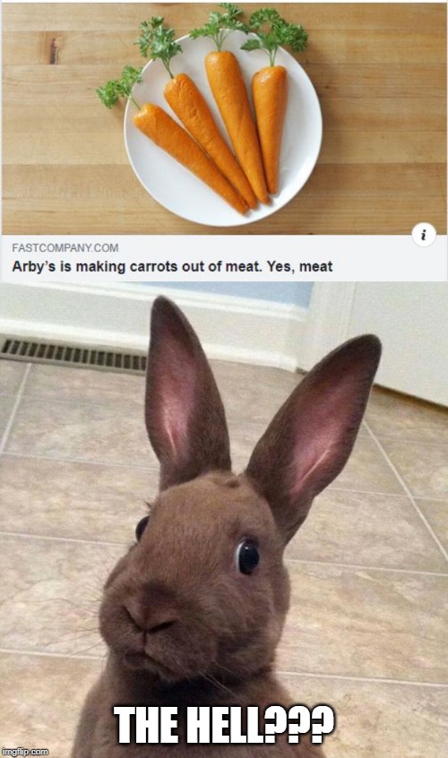 Bugs is NOT Pleased | THE HELL??? | image tagged in really rabbit | made w/ Imgflip meme maker
