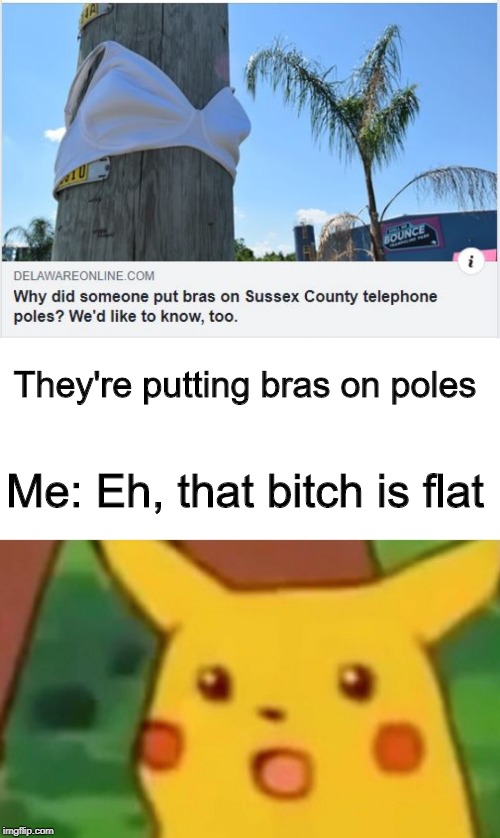 No Boobs!!! | They're putting bras on poles; Me: Eh, that bitch is flat | image tagged in memes,surprised pikachu | made w/ Imgflip meme maker