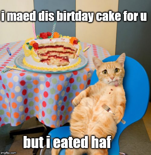 Happy Half Birthday | i maed dis birtday cake for u; but i eated haf | image tagged in overstuffed cat,happy birthday cat,happy birthday,half baked | made w/ Imgflip meme maker