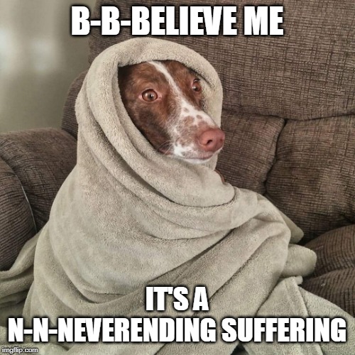 Cold Dog | B-B-BELIEVE ME IT'S A N-N-NEVERENDING SUFFERING | image tagged in cold dog | made w/ Imgflip meme maker