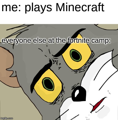 Unsettled Tom Meme | me: plays Minecraft; everyone else at the fortnite camp: | image tagged in memes,unsettled tom | made w/ Imgflip meme maker