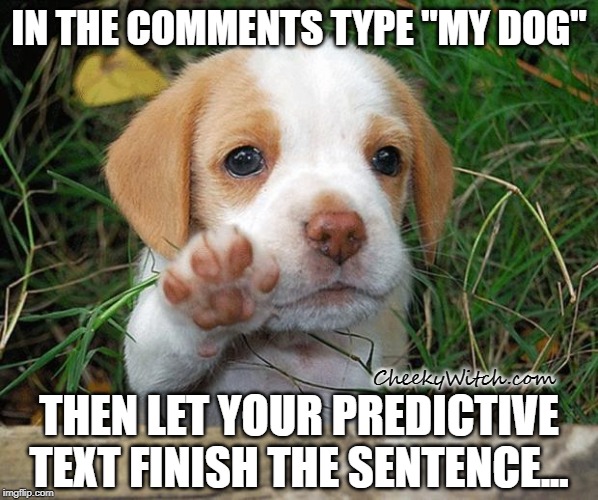 dog puppy bye | IN THE COMMENTS TYPE "MY DOG"; CheekyWitch.com; THEN LET YOUR PREDICTIVE TEXT FINISH THE SENTENCE... | image tagged in dog puppy bye | made w/ Imgflip meme maker