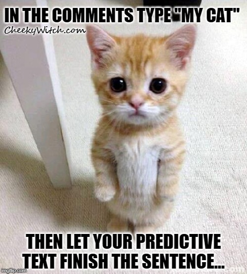 Cute Cat | IN THE COMMENTS TYPE "MY CAT"; CheekyWitch.com; THEN LET YOUR PREDICTIVE TEXT FINISH THE SENTENCE... | image tagged in memes,cute cat | made w/ Imgflip meme maker
