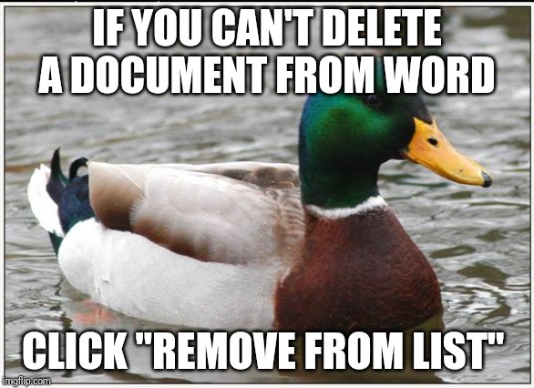 Actual Advice Mallard | IF YOU CAN'T DELETE A DOCUMENT FROM WORD; CLICK "REMOVE FROM LIST" | image tagged in memes,actual advice mallard | made w/ Imgflip meme maker