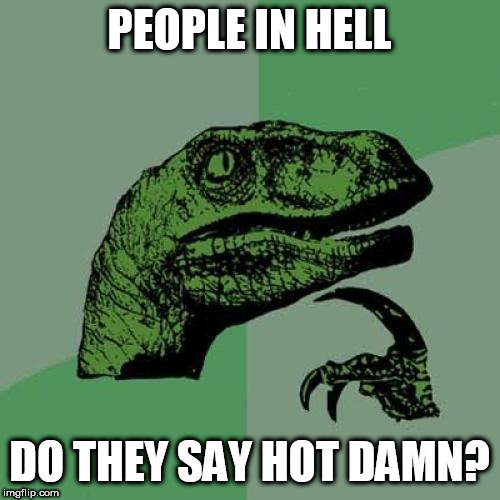 Philosoraptor Meme | PEOPLE IN HELL; DO THEY SAY HOT DAMN? | image tagged in memes,philosoraptor,hell | made w/ Imgflip meme maker
