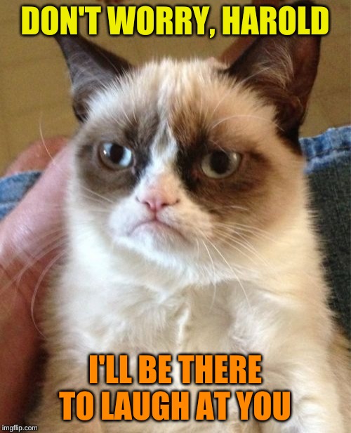 Grumpy Cat Meme | DON'T WORRY, HAROLD I'LL BE THERE TO LAUGH AT YOU | image tagged in memes,grumpy cat | made w/ Imgflip meme maker