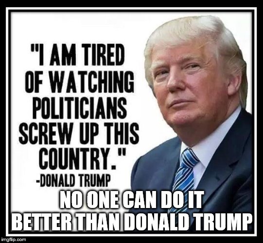 Trump sucks | NO ONE CAN DO IT BETTER THAN DONALD TRUMP | image tagged in maga loser | made w/ Imgflip meme maker