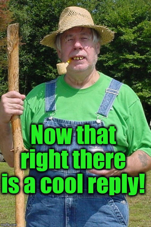 Redneck farmer | Now that right there is a cool reply! | image tagged in redneck farmer | made w/ Imgflip meme maker