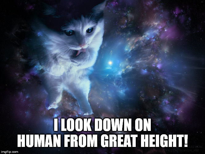 Cat God | I LOOK DOWN ON HUMAN FROM GREAT HEIGHT! | image tagged in cat god | made w/ Imgflip meme maker