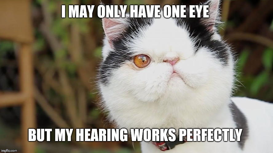 One Eye | I MAY ONLY HAVE ONE EYE BUT MY HEARING WORKS PERFECTLY | image tagged in one eye | made w/ Imgflip meme maker