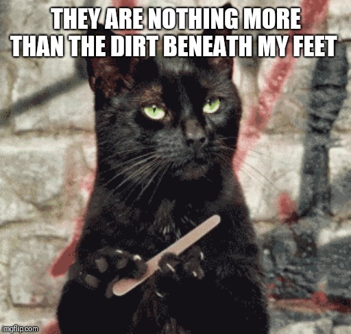 THEY ARE NOTHING MORE THAN THE DIRT BENEATH MY FEET | made w/ Imgflip meme maker