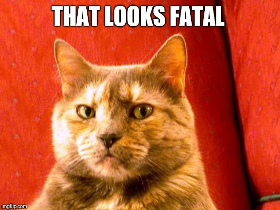 Suspicious Cat Meme | THAT LOOKS FATAL | image tagged in memes,suspicious cat | made w/ Imgflip meme maker
