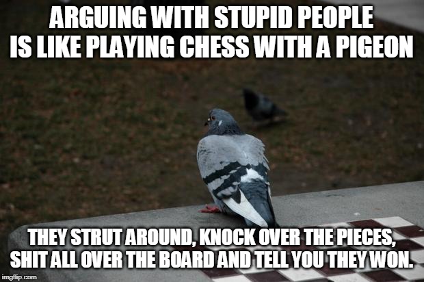 Pigeon Shitting on Chess Board | ARGUING WITH STUPID PEOPLE IS LIKE PLAYING CHESS WITH A PIGEON; THEY STRUT AROUND, KNOCK OVER THE PIECES, SHIT ALL OVER THE BOARD AND TELL YOU THEY WON. | image tagged in pigeon shitting on chess board | made w/ Imgflip meme maker