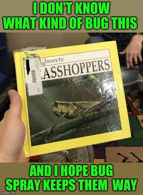 Talk about aliens! | I DON'T KNOW WHAT KIND OF BUG THIS; AND I HOPE BUG SPRAY KEEPS THEM  WAY | image tagged in asshoppers | made w/ Imgflip meme maker