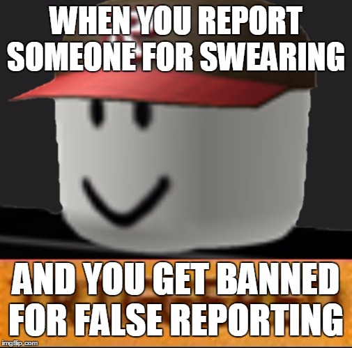 Roblox Triggered | WHEN YOU REPORT SOMEONE FOR SWEARING; AND YOU GET BANNED FOR FALSE REPORTING | image tagged in roblox triggered | made w/ Imgflip meme maker