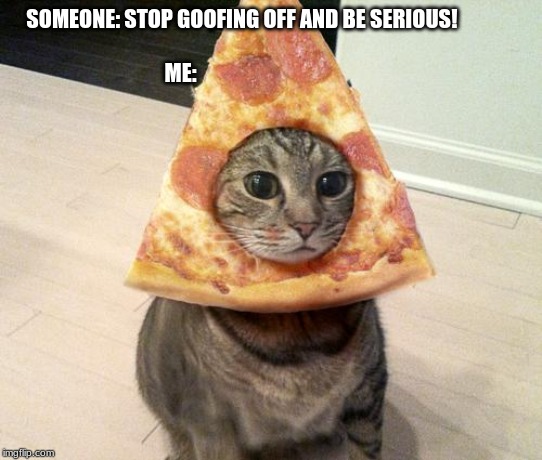 pizza cat | SOMEONE: STOP GOOFING OFF AND BE SERIOUS!                                                                                         ME: | image tagged in pizza cat | made w/ Imgflip meme maker