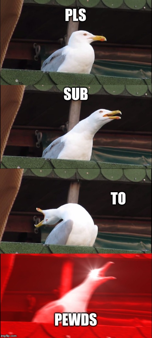 Inhaling Seagull Meme |  PLS; SUB; TO; PEWDS | image tagged in memes,inhaling seagull | made w/ Imgflip meme maker