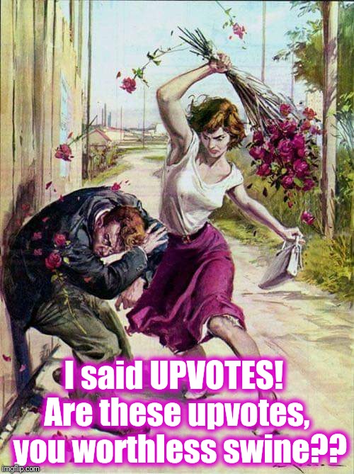 Beaten with Roses | I said UPVOTES!  Are these upvotes,  you worthless swine?? | image tagged in beaten with roses | made w/ Imgflip meme maker