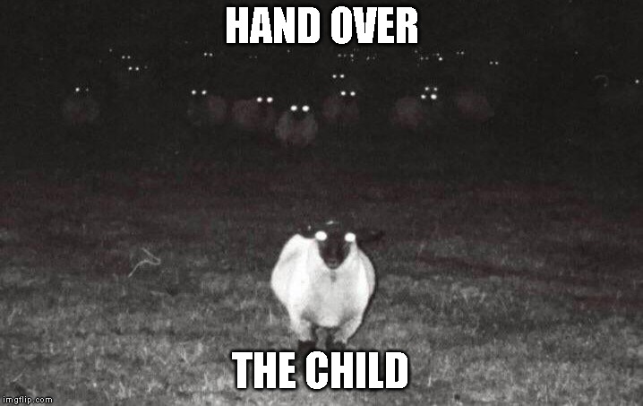 Hand'em Over. | HAND OVER; THE CHILD | image tagged in memes,meme,dank memes,lol | made w/ Imgflip meme maker