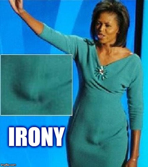 Michelle Obama Has a Penis | IRONY | image tagged in michelle obama has a penis | made w/ Imgflip meme maker