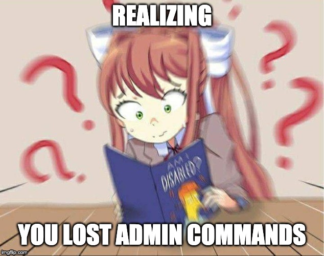 DDLCDisabled | REALIZING; YOU LOST ADMIN COMMANDS | image tagged in ddlcdisabled | made w/ Imgflip meme maker