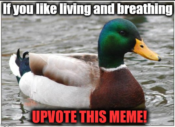 "GOOD ADVICE" mallard | If you like living and breathing; UPVOTE THIS MEME! | image tagged in memes,actual advice mallard | made w/ Imgflip meme maker